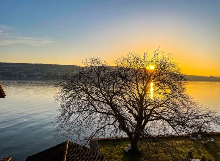 Sonnenaufgang über dem Zürichsee